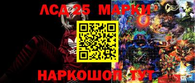 PSILOCYBIN Кингисепп