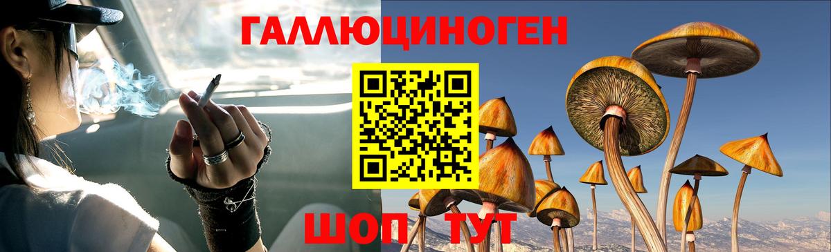 Коммунар  Галлюциногенные грибы MAGIC MUSHROOMS  Вход с VPN 